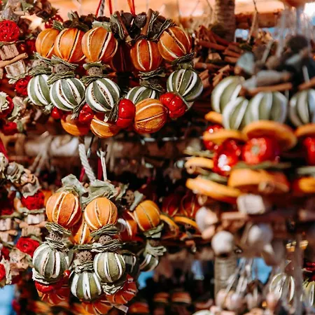 Hercegprimas At Basilica By Corall